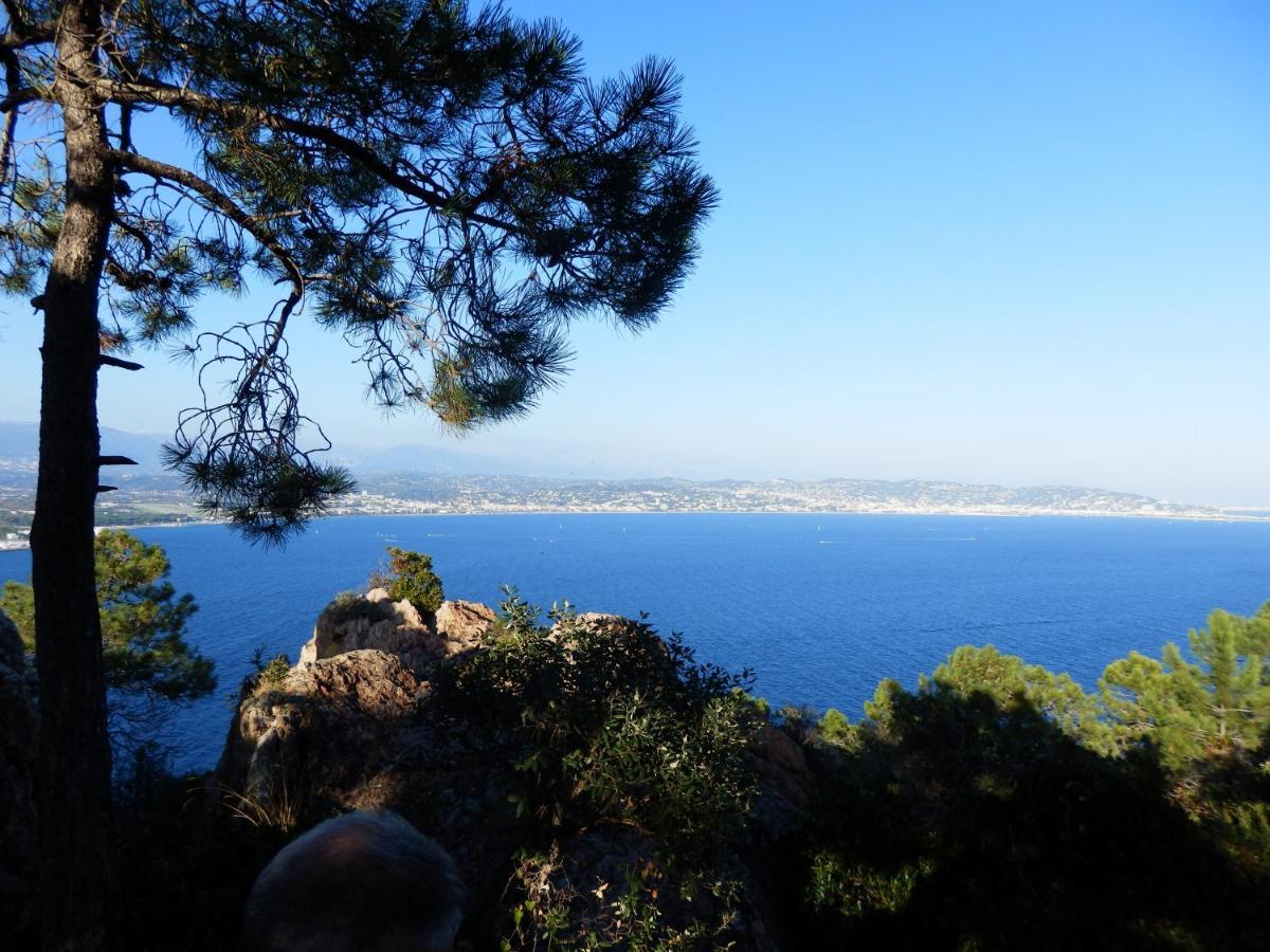Esterel Terrasses, Roof Top, Plage, Parking Payant Cannes Luaran gambar