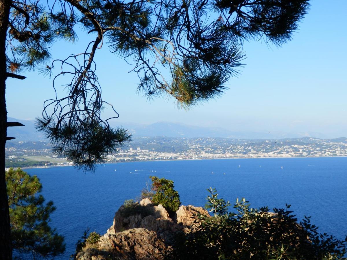 Esterel Terrasses, Roof Top, Plage, Parking Payant Cannes Luaran gambar